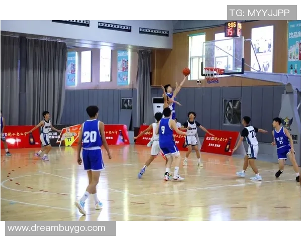 成都篮球队的独特节奏与魅力揭秘探索这座城市的篮球文化与精神