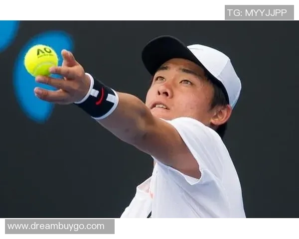 深圳网球队荣登网球战术排行榜第六名引发关注与讨论