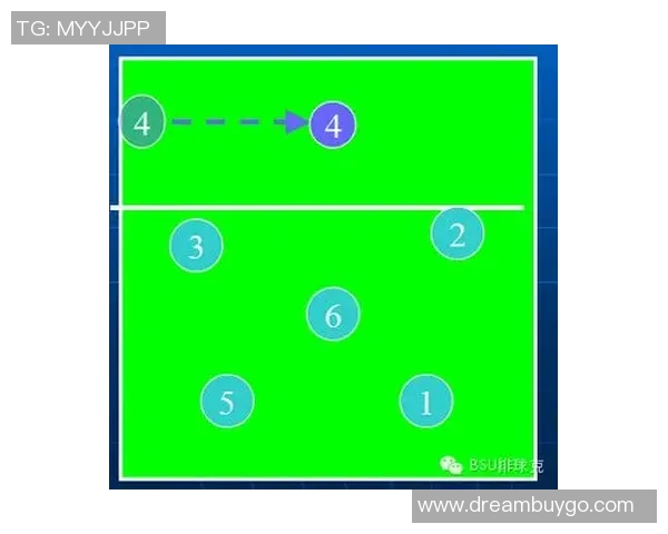 南京排球队的战术调整与实力提升对比赛结果的影响分析